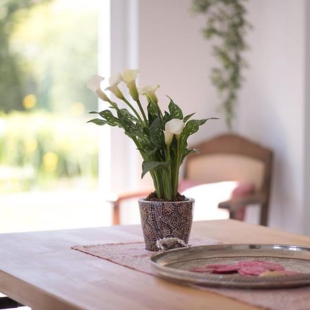 Weinsheim  Ferienwohnung Schwalbennest מראה חיצוני תמונה