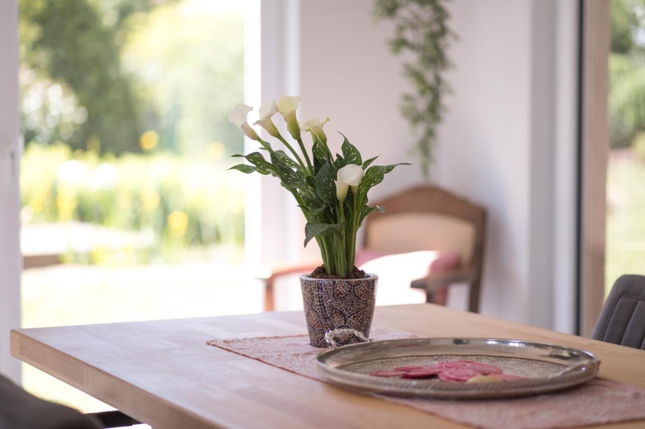 Weinsheim  Ferienwohnung Schwalbennest מראה חיצוני תמונה