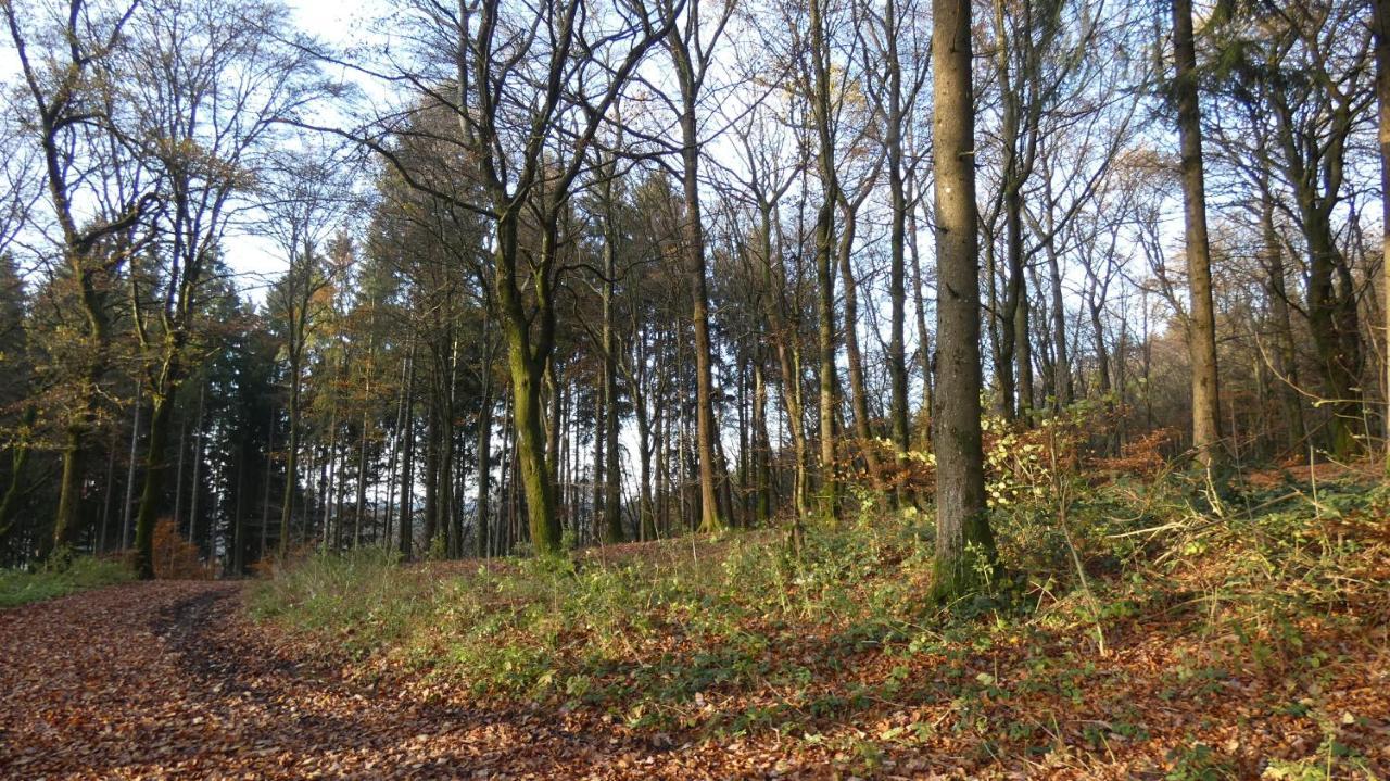 Weinsheim  Ferienwohnung Schwalbennest מראה חיצוני תמונה