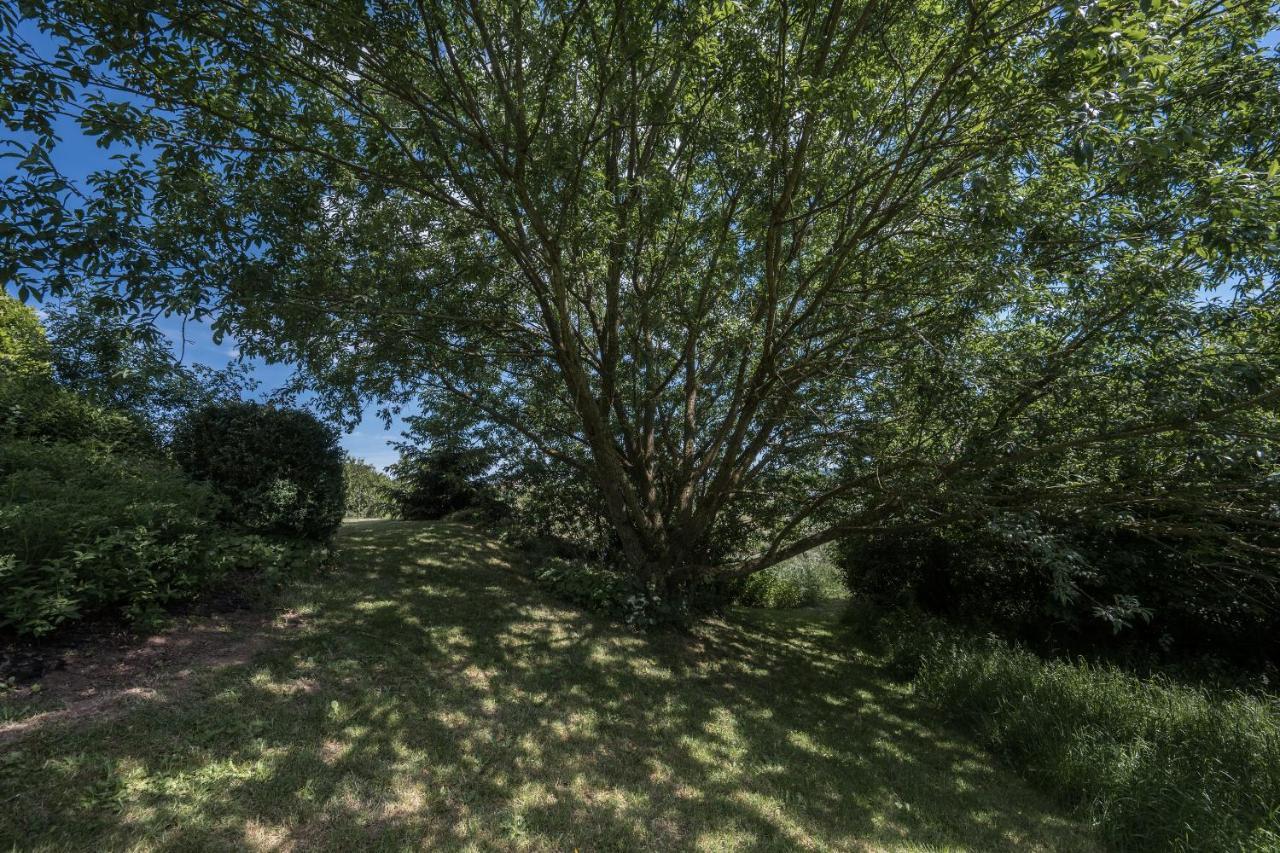 Weinsheim  Ferienwohnung Schwalbennest מראה חיצוני תמונה